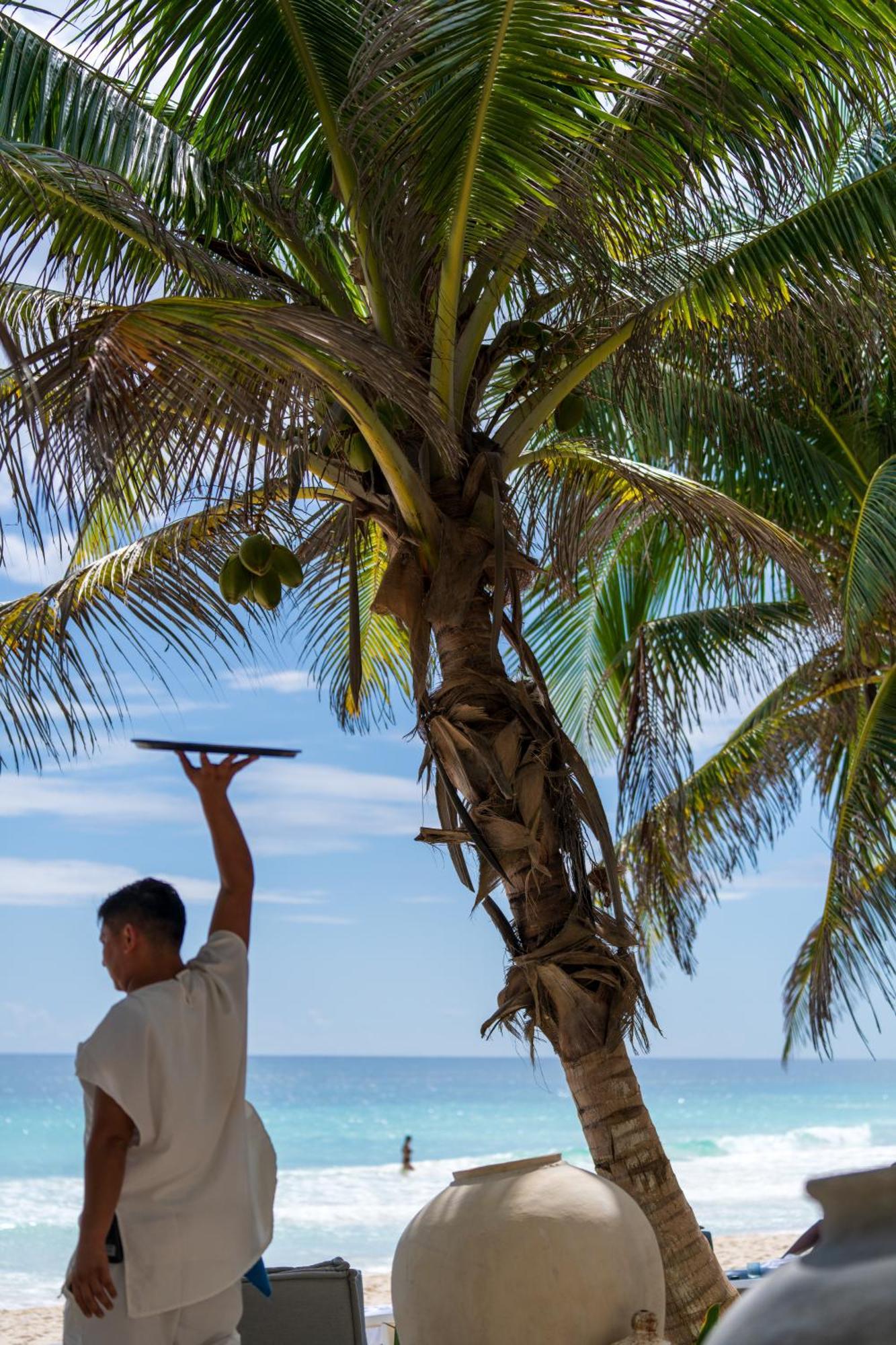 Sana Tulum Beachfront Boutique Hotel エクステリア 写真
